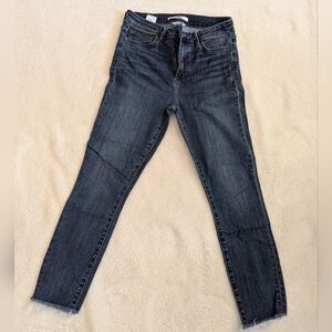 Sam Edelman Dark Wash Skinny Jeans